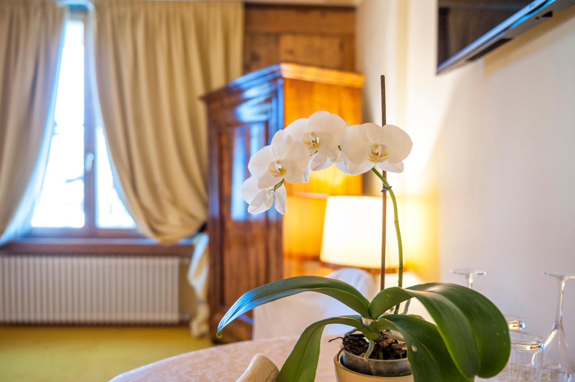 Villa Orso Grigio รอนโซเน ภายนอก รูปภาพ